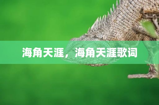 海角天涯，海角天涯歌词