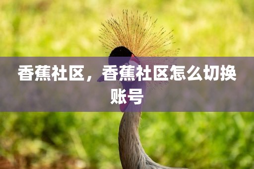 香蕉社区，香蕉社区怎么切换账号