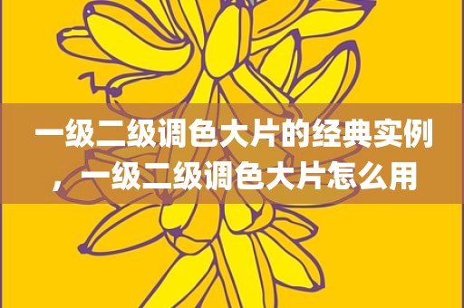 一级二级调色大片的经典实例，一级二级调色大片怎么用