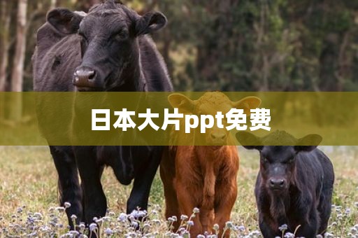 日本大片ppt免费