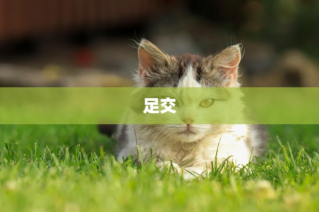 足交