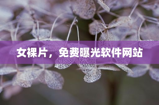 女裸片，免费曝光软件网站