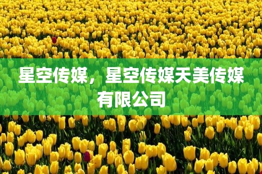 星空传媒，星空传媒天美传媒有限公司