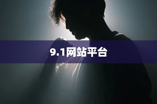9.1网站平台