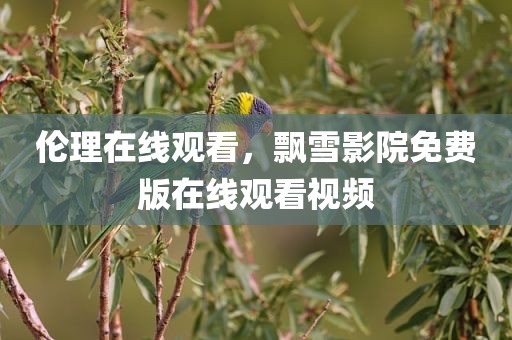 伦理在线观看，飘雪影院免费版在线观看视频