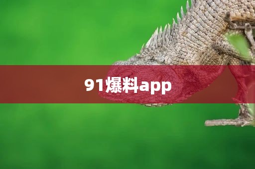 91爆料app
