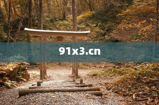 91x3.cn