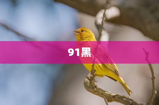91黑