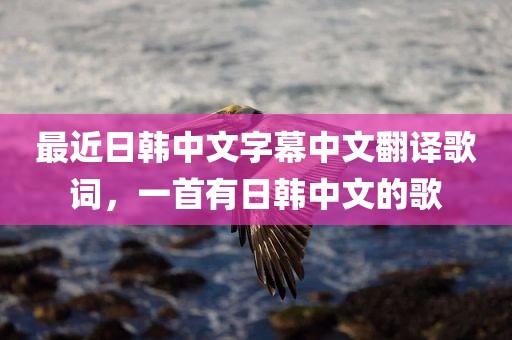 最近日韩中文字幕中文翻译歌词，一首有日韩中文的歌