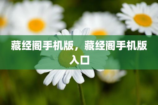 藏经阁手机版，藏经阁手机版入口