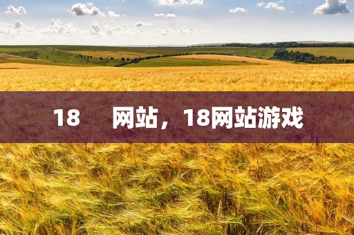 18     网站，18网站游戏