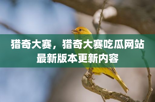 猎奇大赛，猎奇大赛吃瓜网站最新版本更新内容