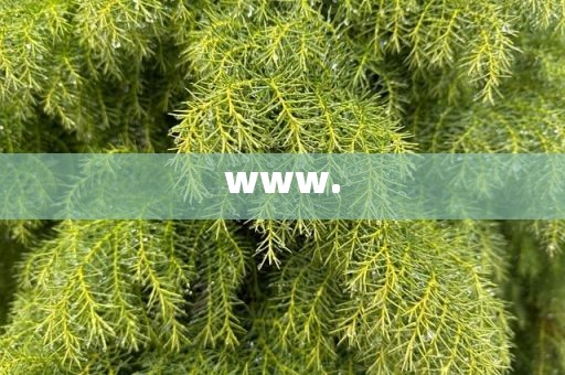 www.