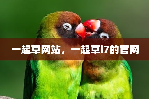 一起草网站，一起草i7的官网