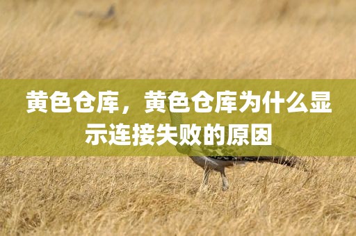 黄色仓库，黄色仓库为什么显示连接失败的原因