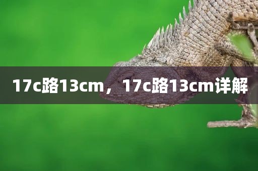 17c路13cm，17c路13cm详解