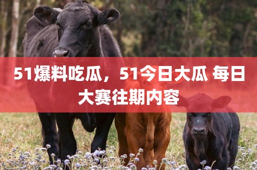 51爆料吃瓜，51今日大瓜 每日大赛往期内容