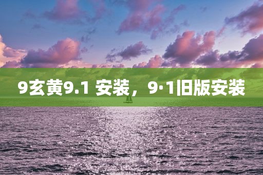 9玄黄9.1 安装，9·1旧版安装
