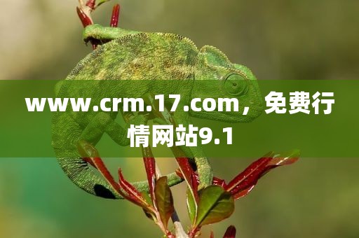 www.crm.17.com，免费行情网站9.1