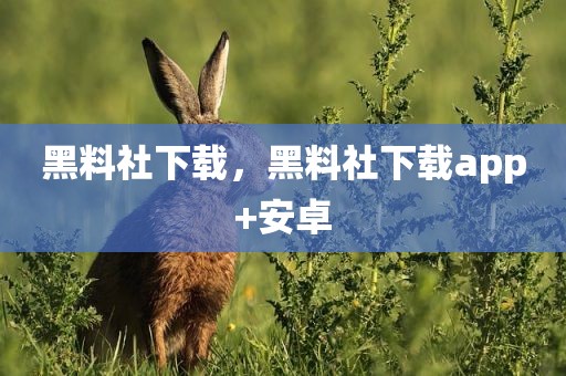 黑料社下载，黑料社下载app+安卓