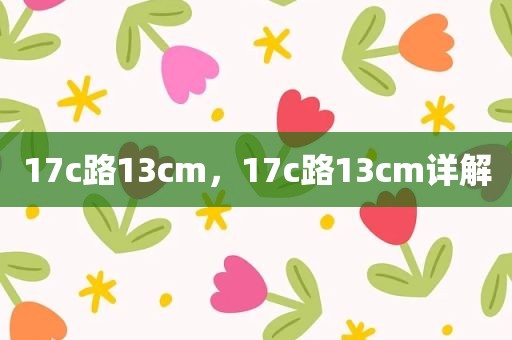 17c路13cm，17c路13cm详解
