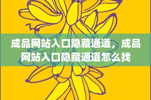 成品网站入口隐藏通道，成品网站入口隐藏通道怎么找