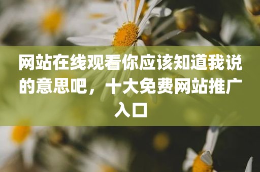 网站在线观看你应该知道我说的意思吧，十大免费网站推广入口