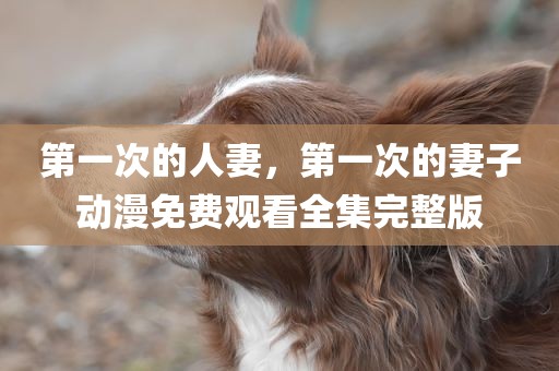 第一次的人妻，第一次的妻子动漫免费观看全集完整版