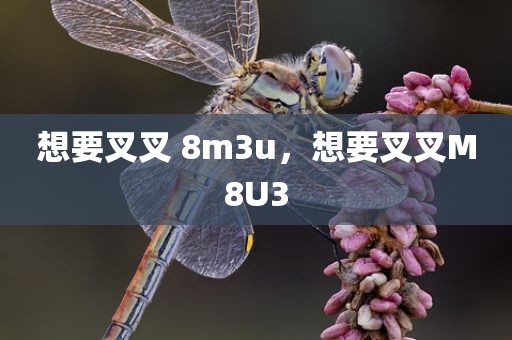 想要叉叉 8m3u，想要叉叉M8U3
