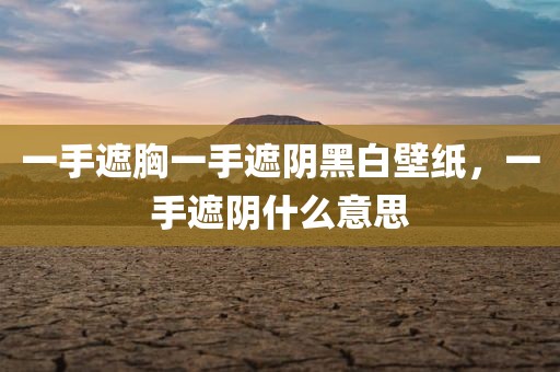 一手遮胸一手遮阴黑白壁纸，一手遮阴什么意思