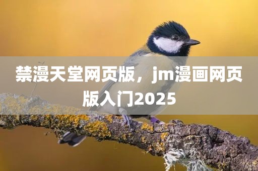 禁漫天堂网页版，jm漫画网页版入门2025