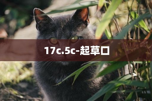 17c.5c-起草口