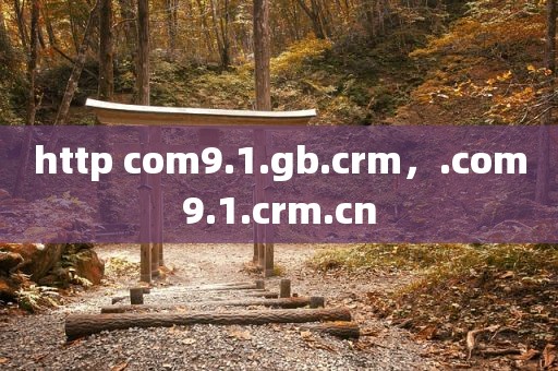 http com9.1.gb.crm，.com9.1.crm.cn