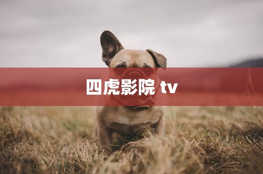 四虎影院 tv