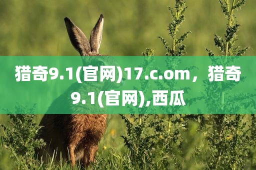 猎奇9.1(官网)17.c.om，猎奇9.1(官网),西瓜