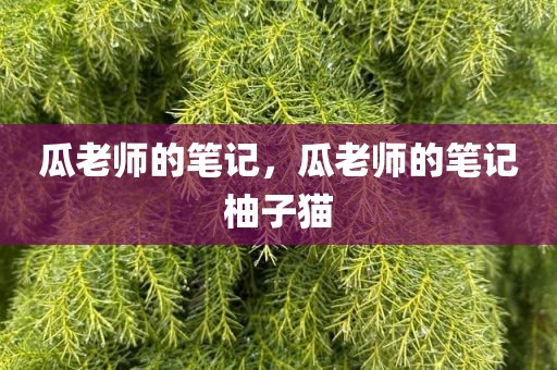 瓜老师的笔记，瓜老师的笔记柚子猫