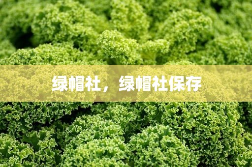 绿帽社，绿帽社保存