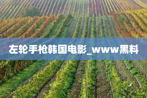左轮手枪韩国电影_www黑料