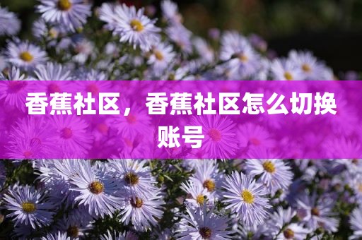香蕉社区，香蕉社区怎么切换账号
