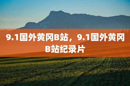 9.1国外黄冈B站，9.1国外黄冈B站纪录片