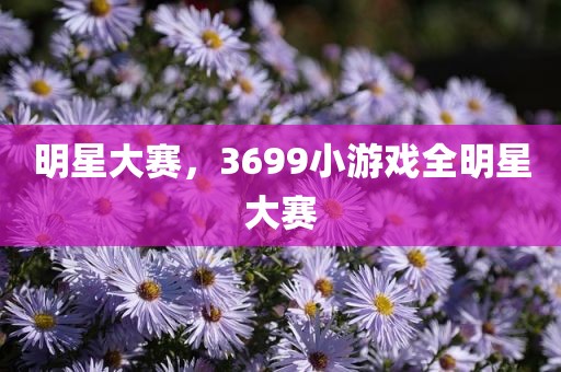 明星大赛，3699小游戏全明星大赛