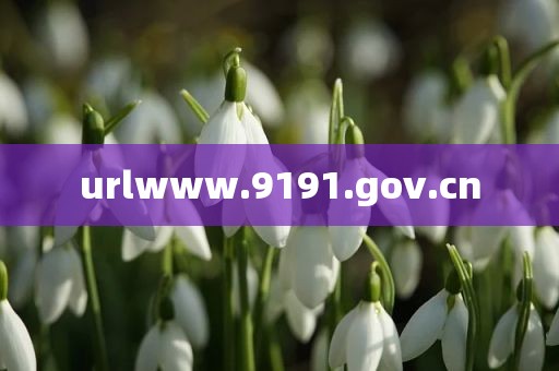 urlwww.9191.gov.cn