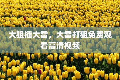 大狙插大雷，大雷打狙免费观看高清视频
