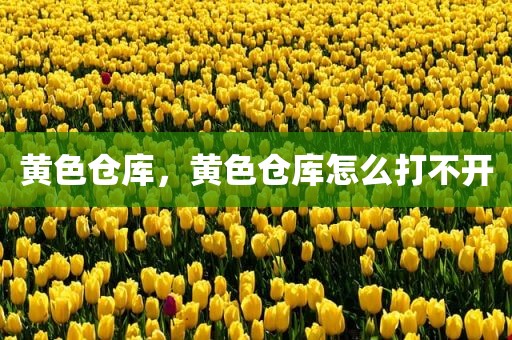 黄色仓库，黄色仓库怎么打不开