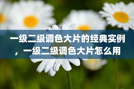 一级二级调色大片的经典实例，一级二级调色大片怎么用