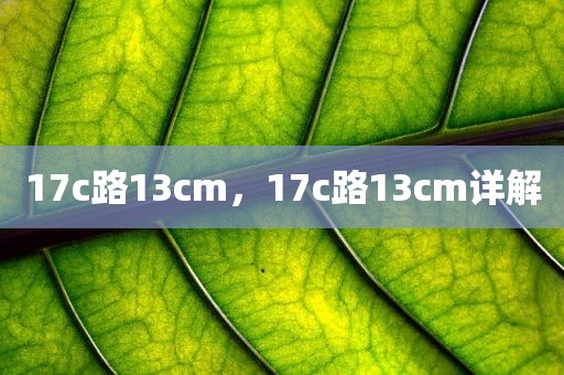 17c路13cm，17c路13cm详解