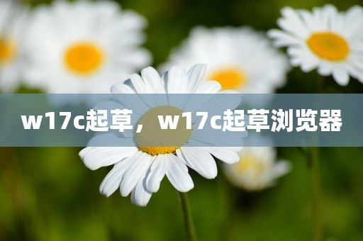 w17c起草，w17c起草浏览器