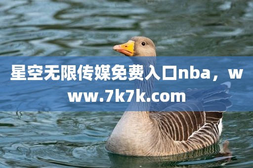 星空无限传媒免费入口nba，www.7k7k.com