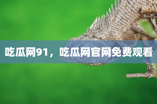 吃瓜网91，吃瓜网官网免费观看