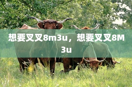 想要叉叉8m3u，想要叉叉8M3u